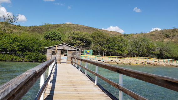 Parguera