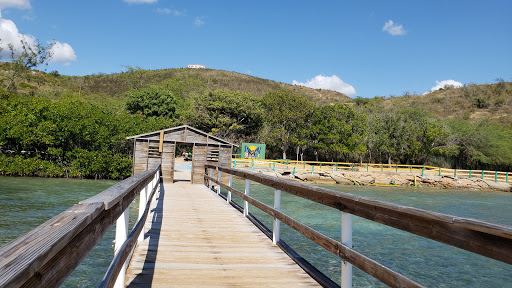 La Playita Rosada
