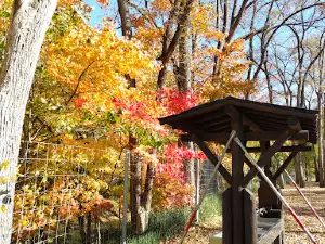 Honbetsu Park Shizuyama Camping Village Campground #1