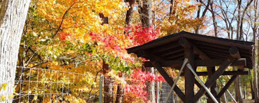 Honbetsu Park Shizuyama Camping Village Campground #1