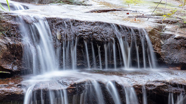 Murphys Glen Campground