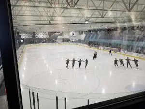 Community Arena