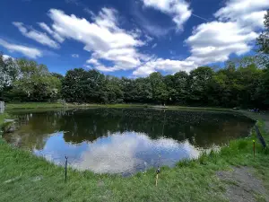 Angelparadies Zwillbrock GmbH