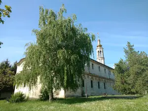 Temple Uspenie Pr. Bogoroditsa