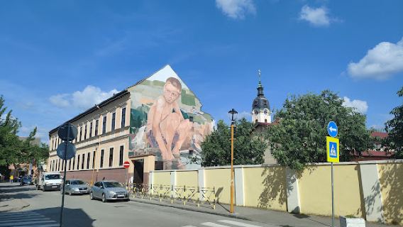 Cultural Center "Laza Kostic"
