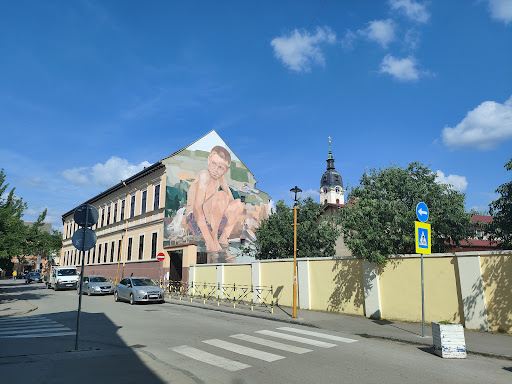 Cultural Center "Laza Kostic"