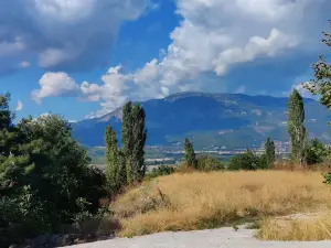 Şengül Solomon ILAM Forest '