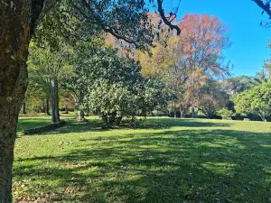 メモリアル・パーク