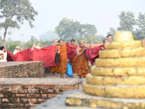 Ananda Bodhi Tree(အာနန္ဒာ ဗောဓိ)