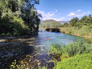 Regional Natural Reserve "Pescara Springs"