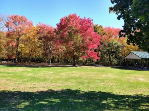 Peterson Memorial Park