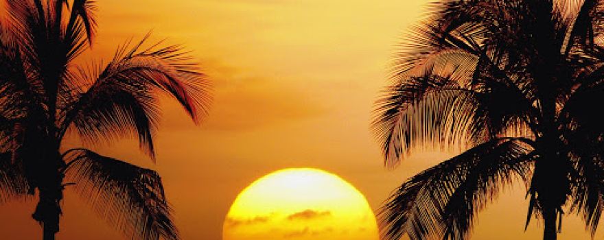 Hawaiian Tan Salons - Forest Lake