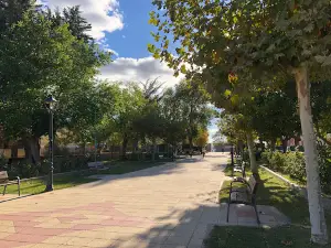 Park and Venus