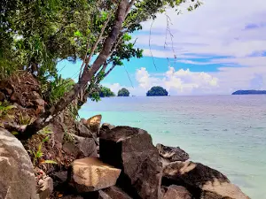 Pantai Pelabuhan Depapre