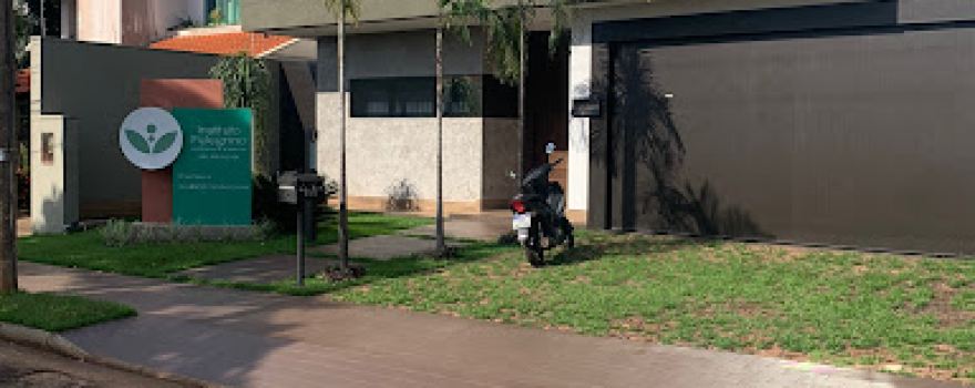 INSTITUTO PELEGRINO - CLINICA DE ESTETICA E TERAPIAS INTEGRATIVAS - INSTITUTO DO SONO