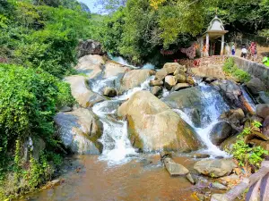 Kuldiha forest guide