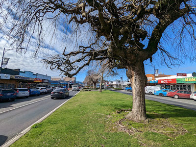 Matamata Visitor Information Centre