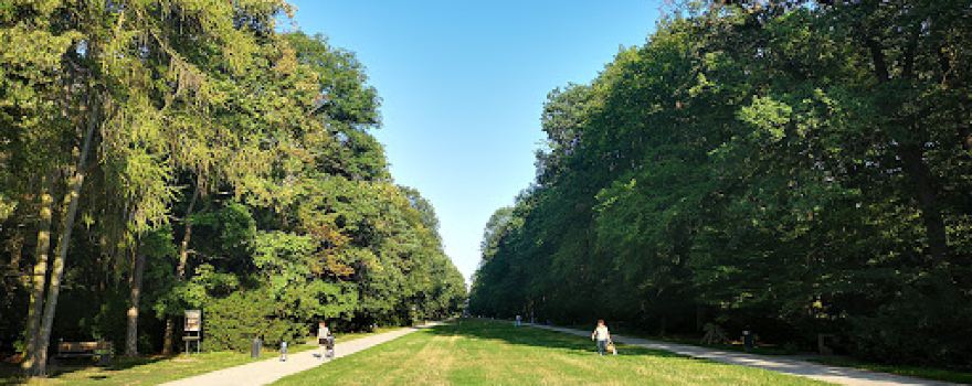 Hvězda