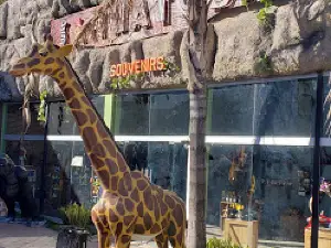 Sahuatoba Durango Zoo