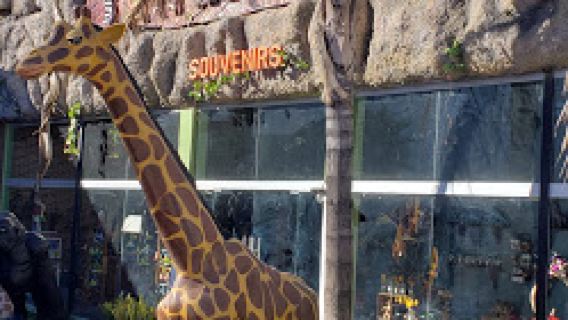 Sahuatoba Durango Zoo