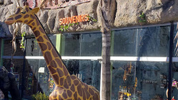 Sahuatoba Durango Zoo