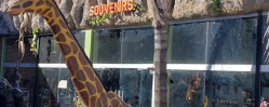 Sahuatoba Durango Zoo