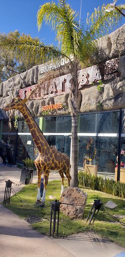 Sahuatoba Durango Zoo