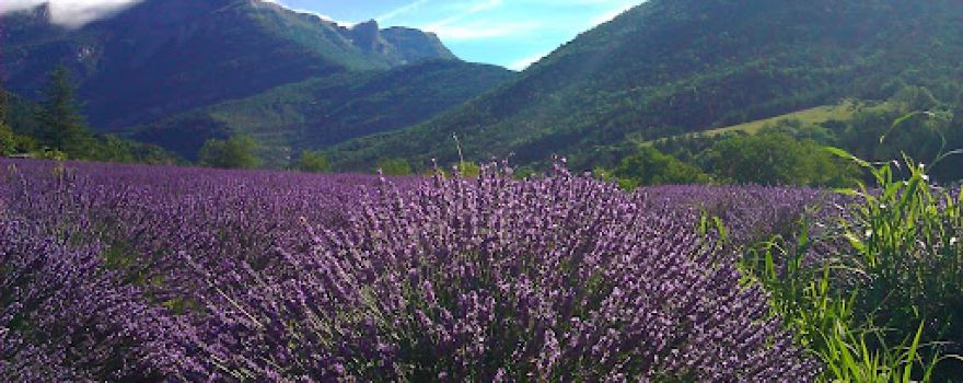 Camping Saint Martin