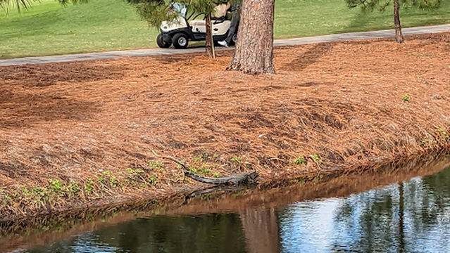 Heron Point by Pete Dye