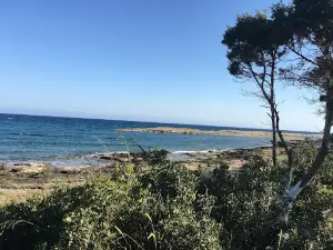 Dipkarpaz Piknik Alanı