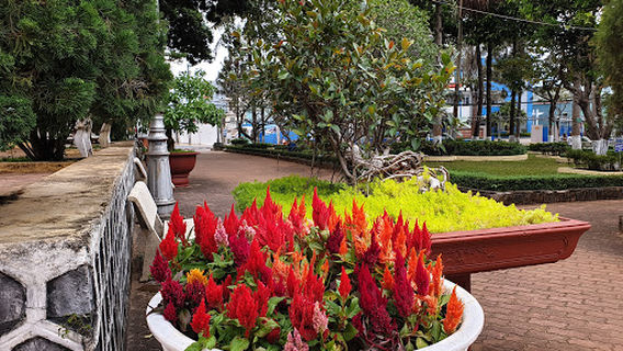 Ho Chi Minh Museum - Gia Lai And Kon Tum Branch