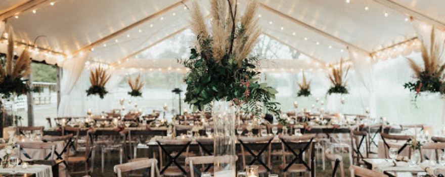 Cloverleaf Farm