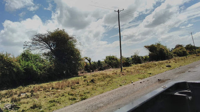 mercy njeri sunflower farm