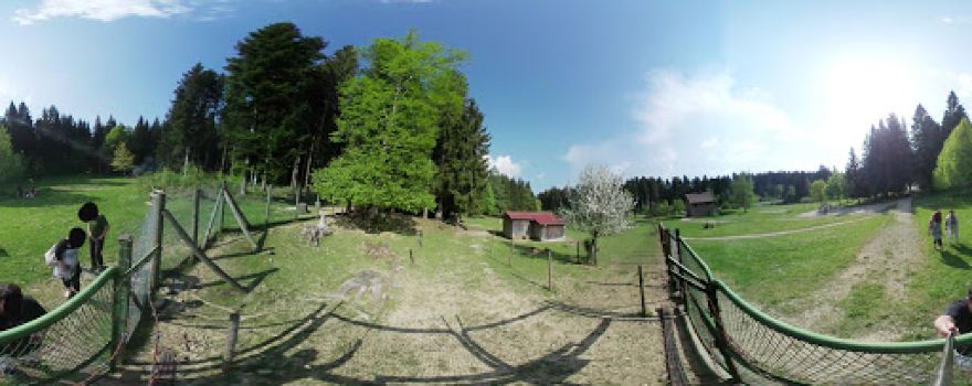 Parc à cerfs d'Orient