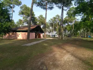 Municipal l'Arriu