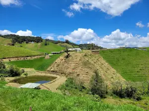 Ecoparque Chapecó Dónde Gordo Lindo