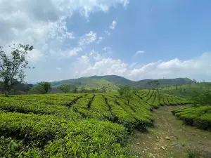 Elappara