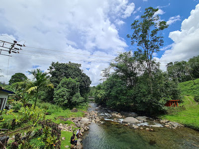 Pelancongan Ikan Jinak