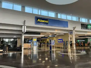 Alamo Rent A Car