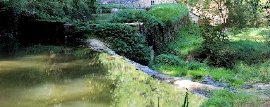 Le Martinet De La Ramonde