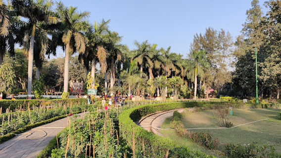 Central Park(Rose Garden)