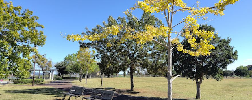 Kasumigaura Peace Memorial Park