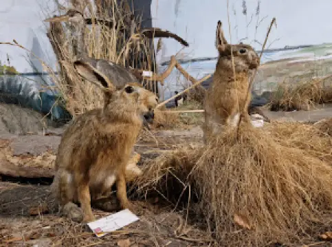 Muzeum Przyrodnicze WPN