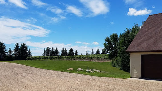Pointe of View Winery