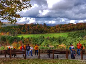 Dents Run Elk Viewing Area