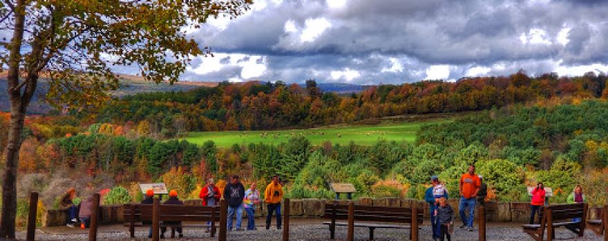 Dents Run Elk Viewing Area