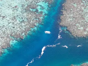 Ouest Corail