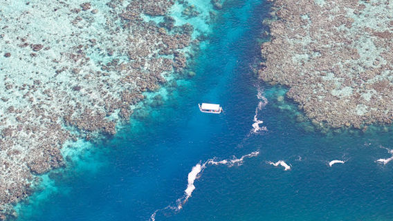 Ouest Corail