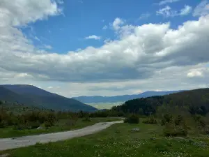 Ribnik