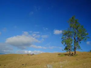 Humon Hills